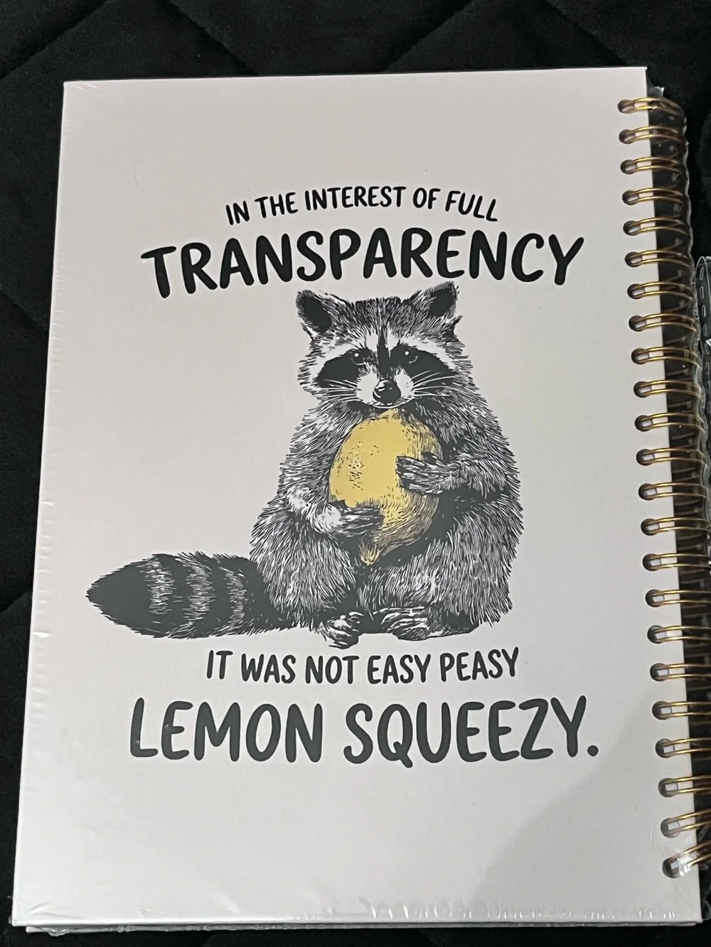 Funny & Cute Lemon Stationery Set